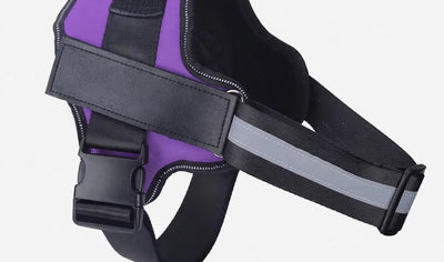 Harnais Personnalisable Harnais&Co coloris 3